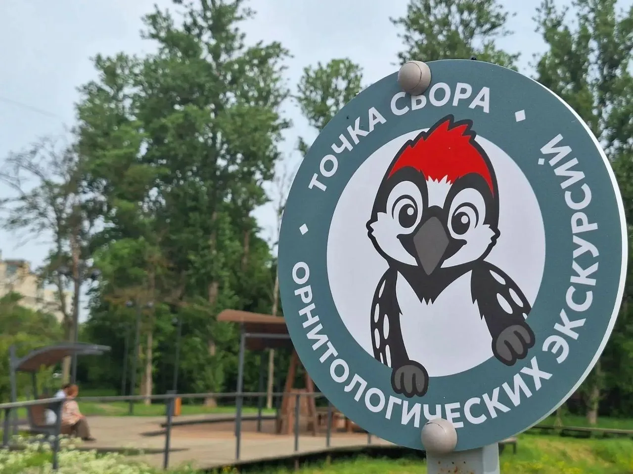 Подглядеть за жизнью птиц: орнитологическая экскурсия пройдёт уже в эту субботу