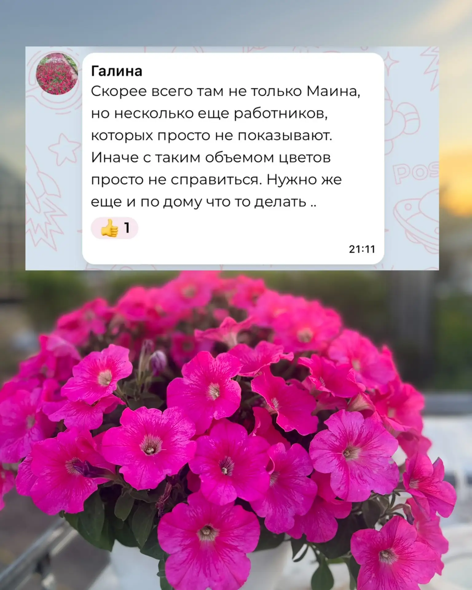 Меня обвинили в обмане, в том, что за меня всё делают толпы работников.  Даже если человек посадил в