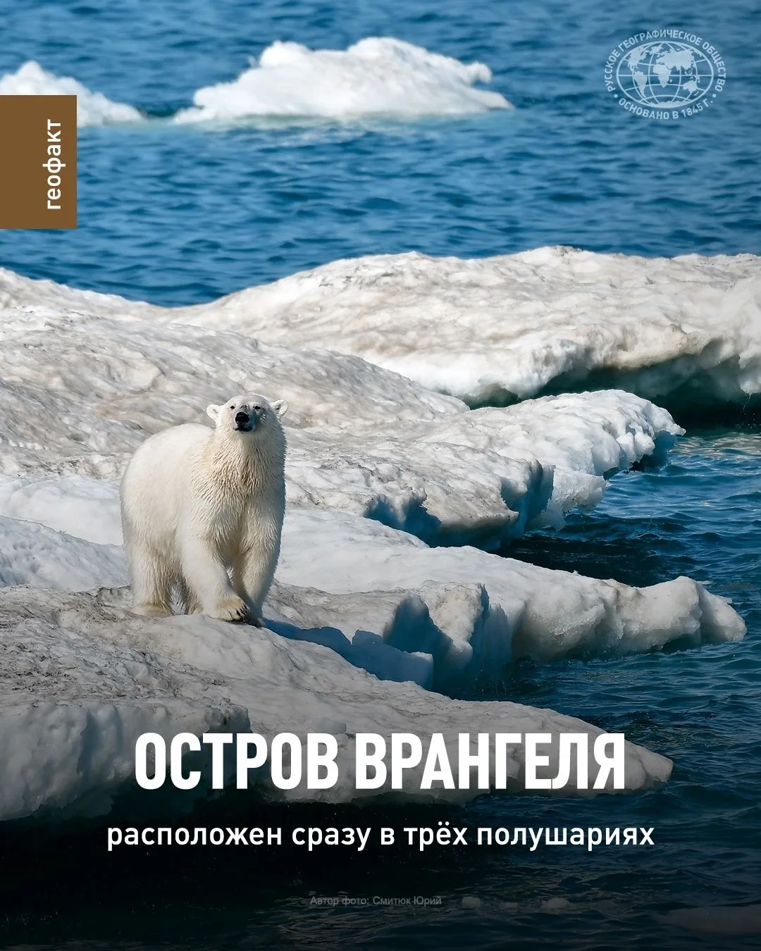 ☝ Ксения Геннадьевна сказала! Знали?  Остров Врангеля расположен сразу в трех полушариях - Северном,