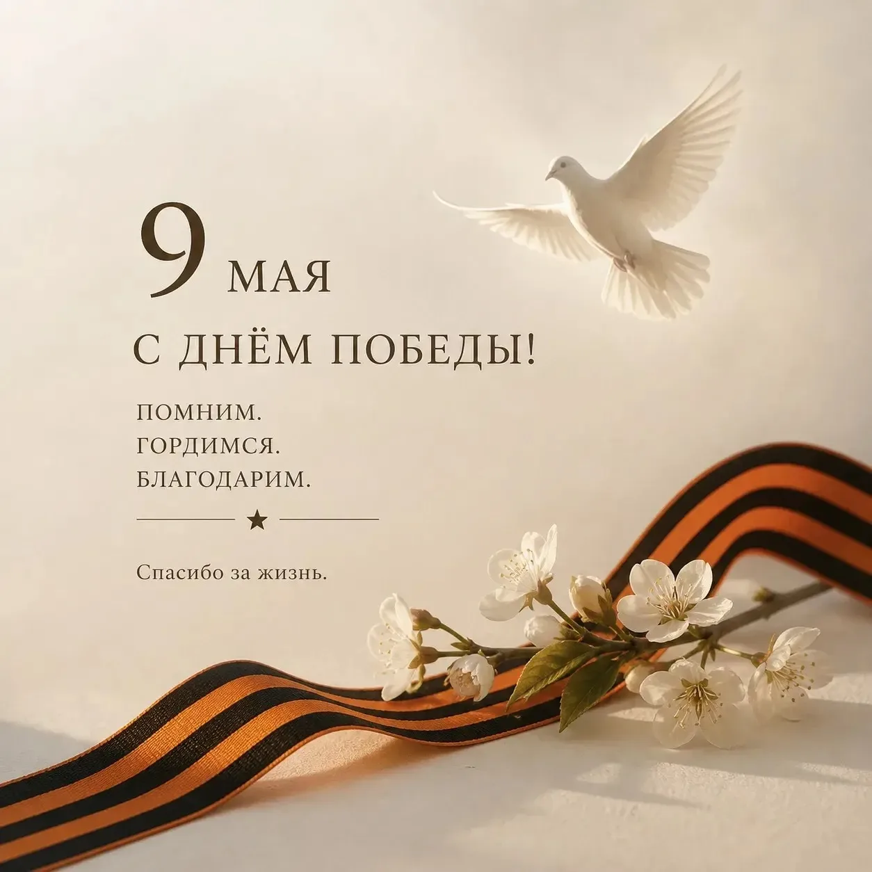 9 мая — день памяти, силы и благодарности.
