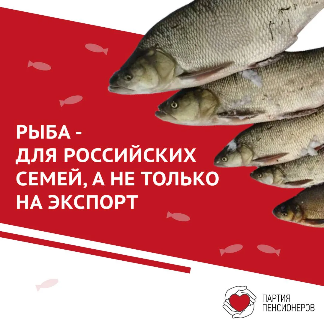 🐟 РЫБА — ДЛЯ РОССИЙСКИХ СЕМЕЙ, А НЕ ТОЛЬКО НА ЭКСПОРТ