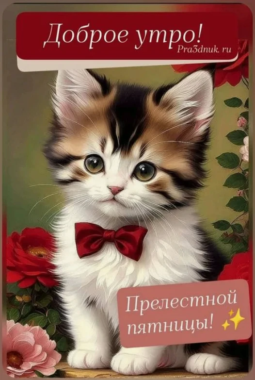 Доброе утро❤️❤️❤️
Прекрасной пятницы. Вот и июль заканчивается, но впереди ещё один месяц лета, жела