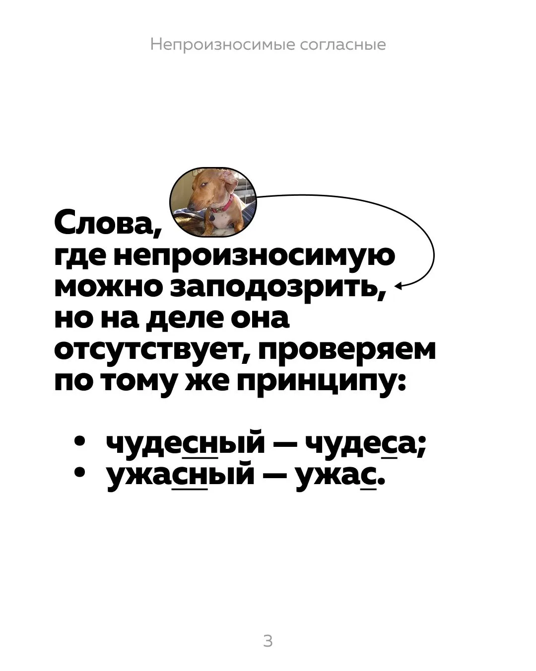 Друзья, повторяем правила, которые точно пригодятся на диктанте #топравило