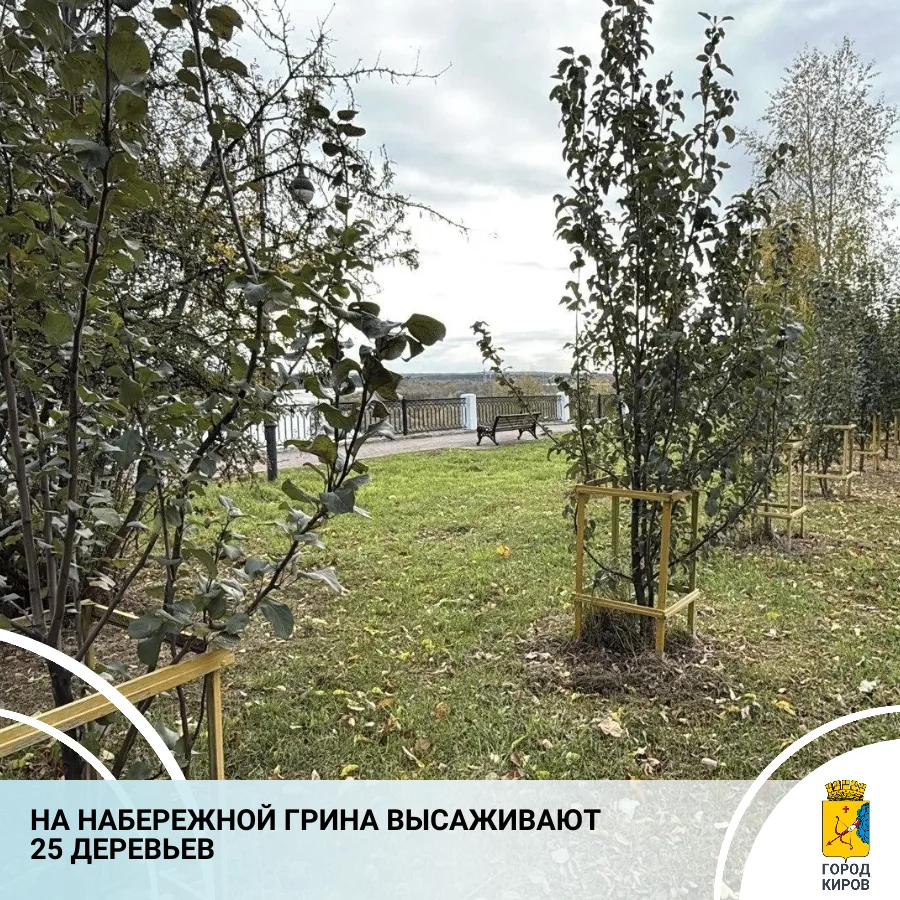 На набережной Грина специалисты дирекции благоустройства высаживают деревья. Всего здес...