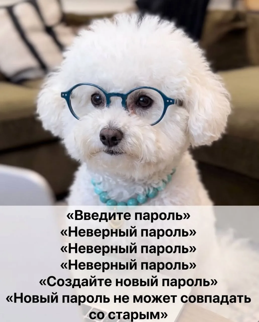 Мем дня