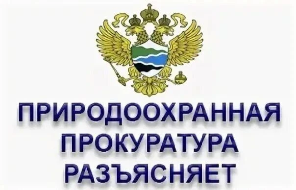 Саратовская межрайонная природоохранная прокуратура разъясняет
 
Письмом Рослесхоза от 29.10.2025 N 