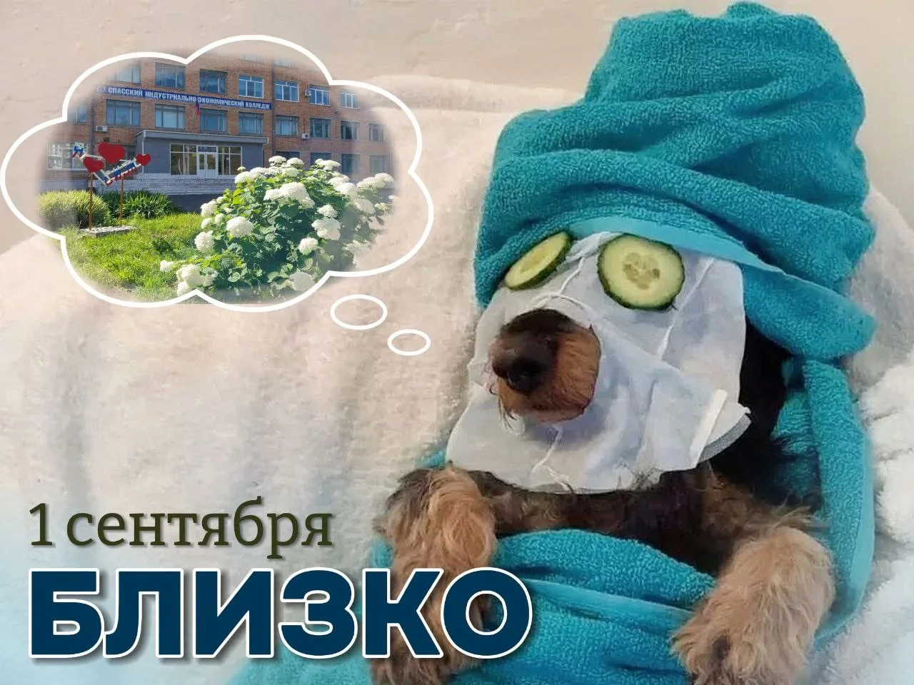 🎓✨ Внимание, первокурсники! Старт вашего студенческого пути уже совсем скоро!