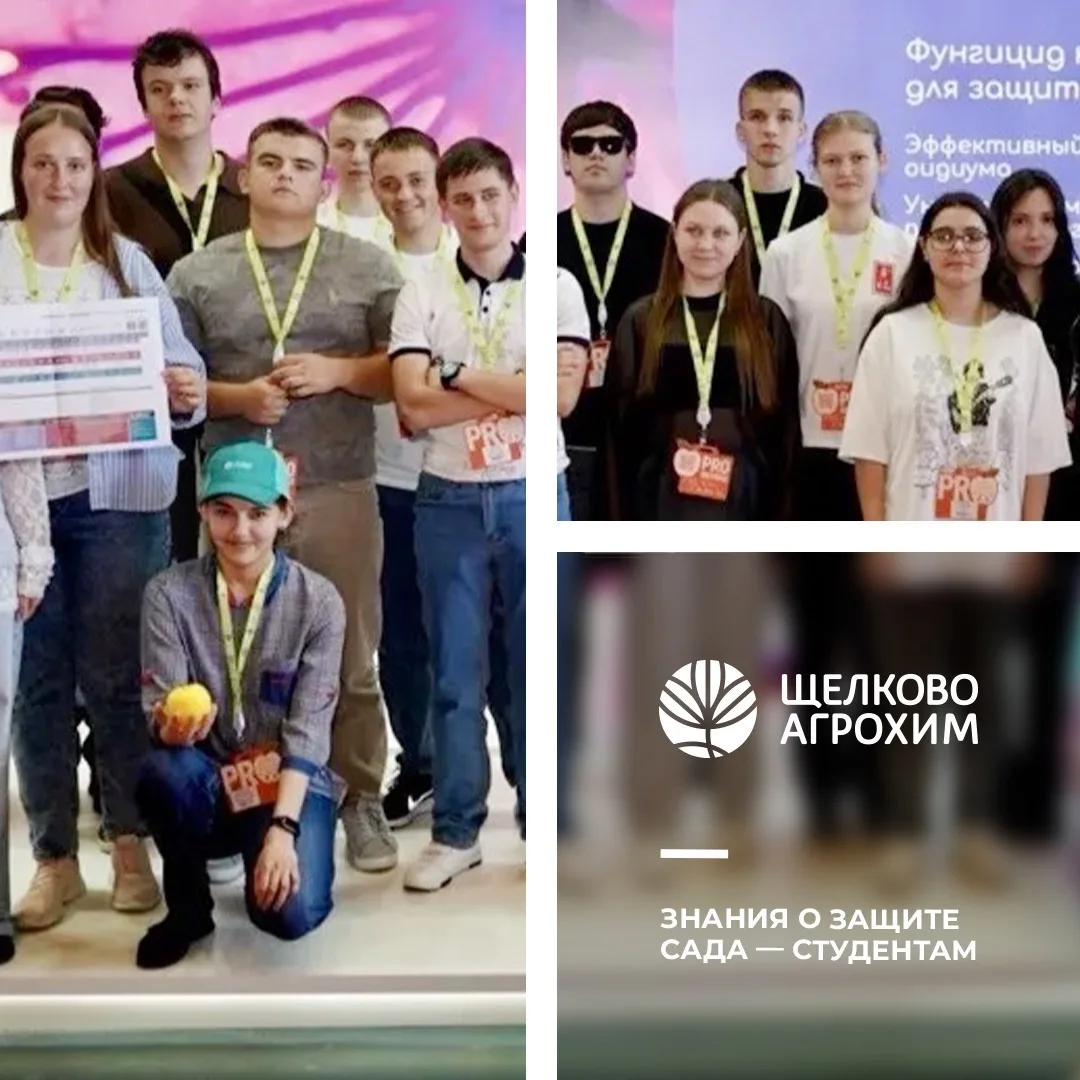 🍏 Экспертный класс Дмитрия Верещагина: как строить защиту сада, когда иммунные сорта больше не спас