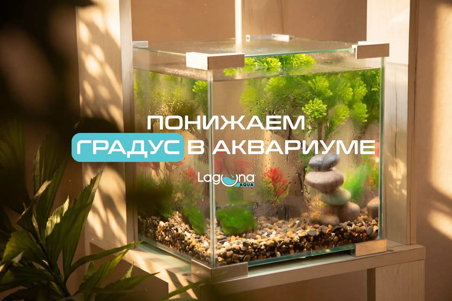 Жара в аквариуме: как спасти рыбок от летнего зноя?☀️

Нужно ли понижать температуру воды в аквариум