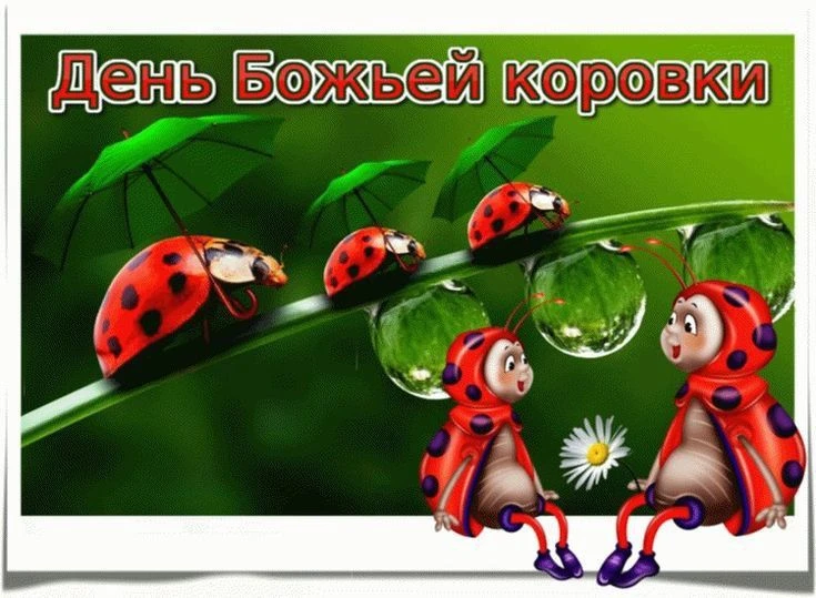 День божьих коровок отмечается ежегодно 13 июня. Этот праздник был учреждён по инициати...