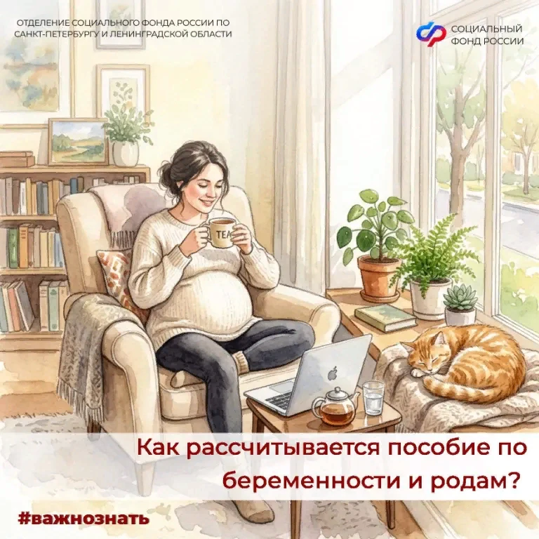 Пособие по беременности и родам выплачивается за счет Отделения СФР по Санкт-Петербургу...