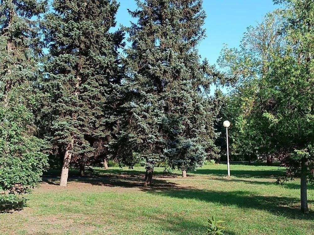 Вечер пятницы - это время  в парке расслабиться🌲🌳⁣
#Целинскийрайон
#ПаркЦелина