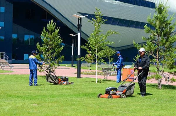 ТРУДОУСТРОЙСТВО ДЛЯ ВЕТЕРАНОВ СВО