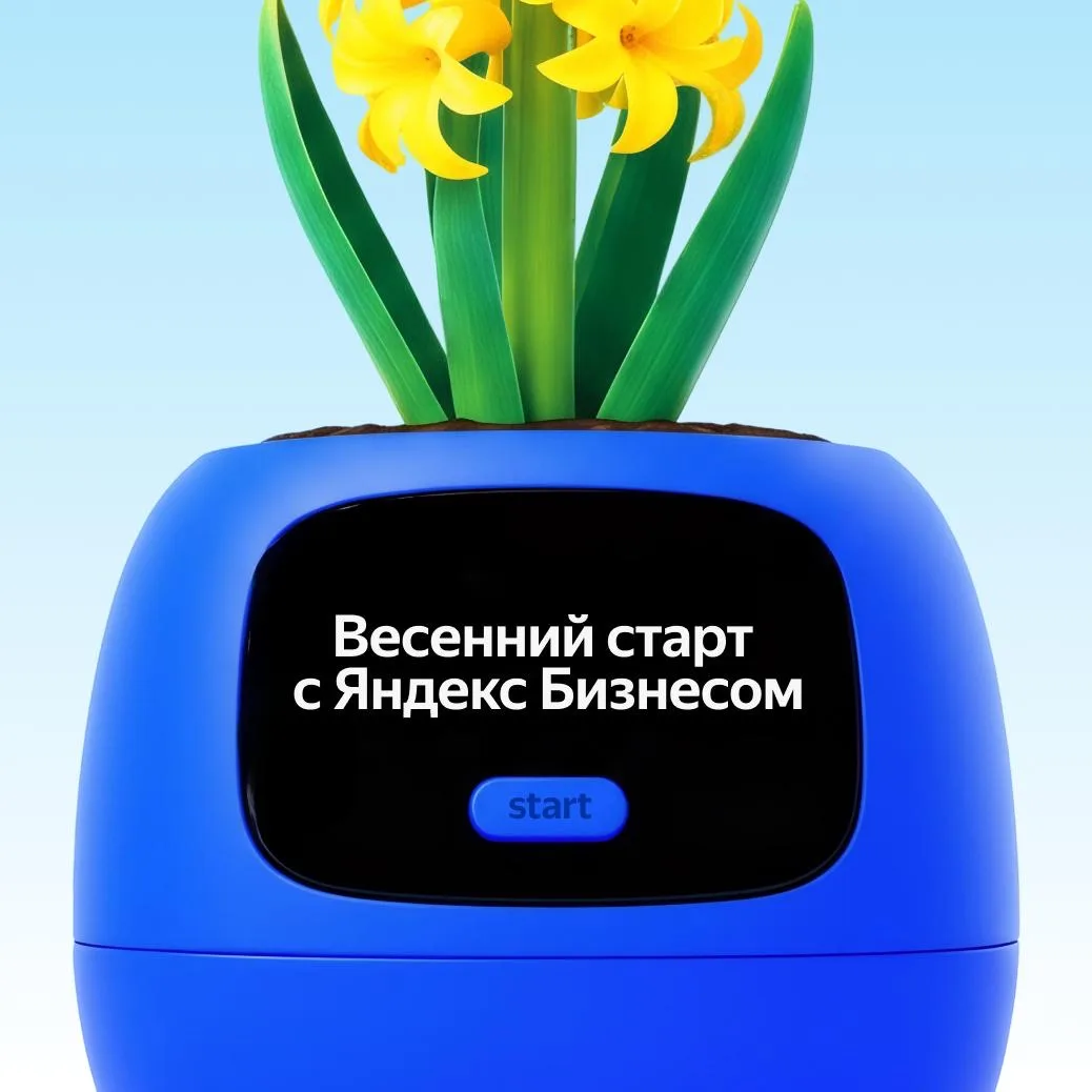 🌱 Весной растёт не только рассада на балконе