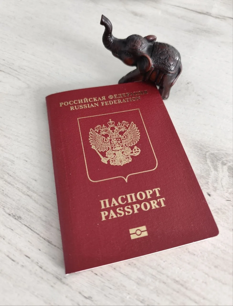 «Вешкина, как ты вообще летаешь без английского?» 🧳✈️🌍