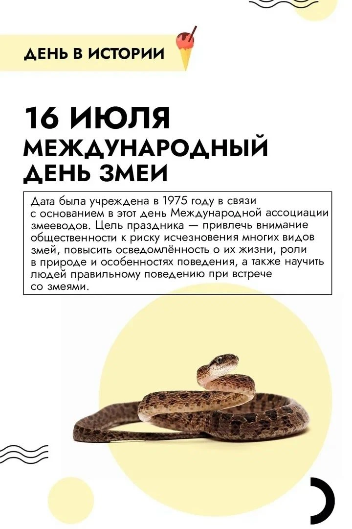 И снова наша рубрика #фактдня.
16 июля отмечается Международный день змеи (World Snake Day) — неофиц