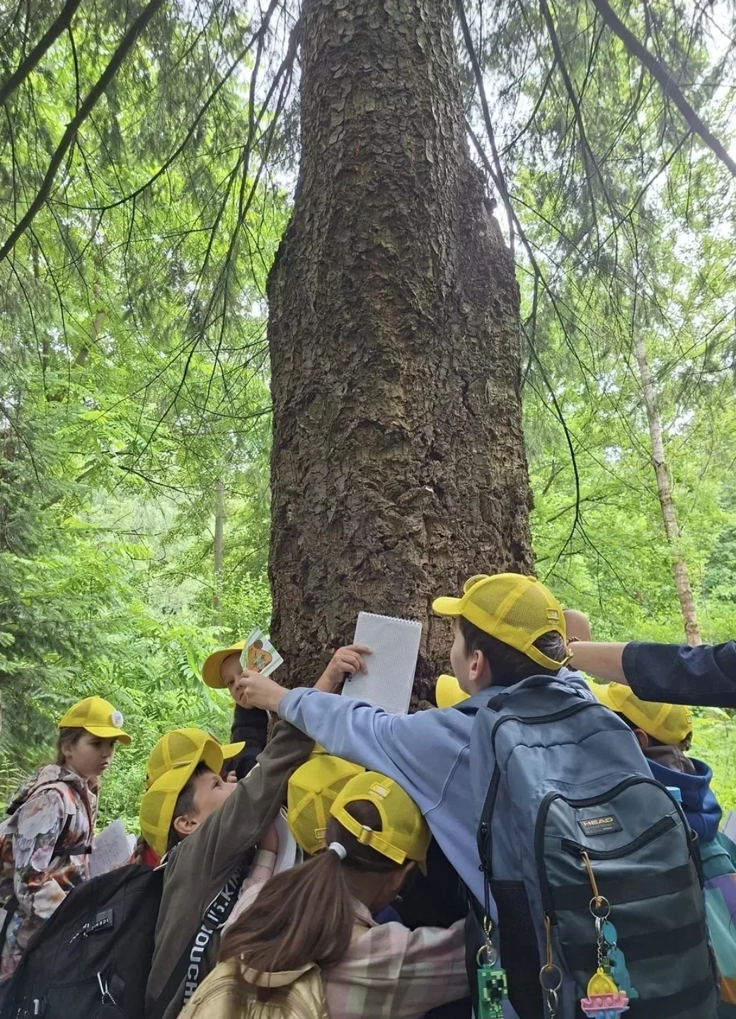 🌿 ТАЙНЫ ПРИРОДЫ: БОТАНИЧЕСКИЙ ДЕСАНТ В БИРЮЛЁВСКОМ ДЕНДРОПАРКЕ 🌿
🌳 Юные исследователи Летней школ