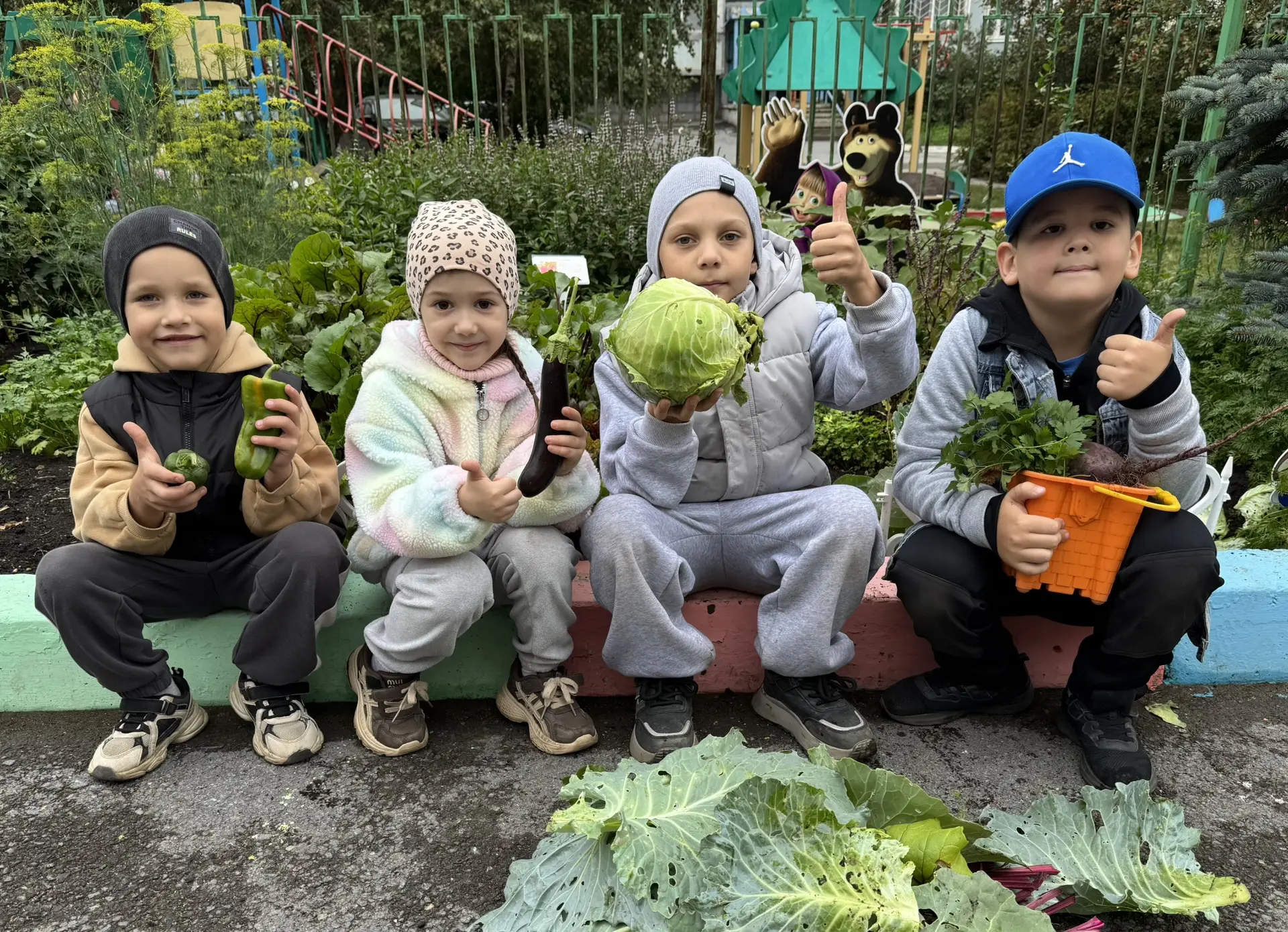 «Сбор урожая» 🥕🌿🫜
