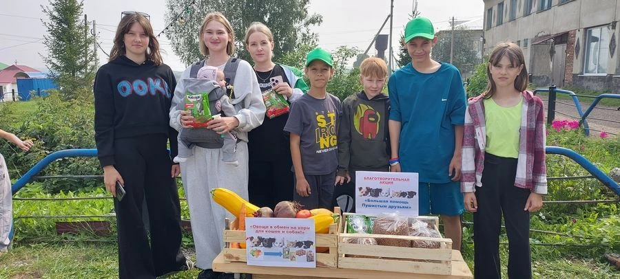 «Большая помощь пушистым друзьям!»
