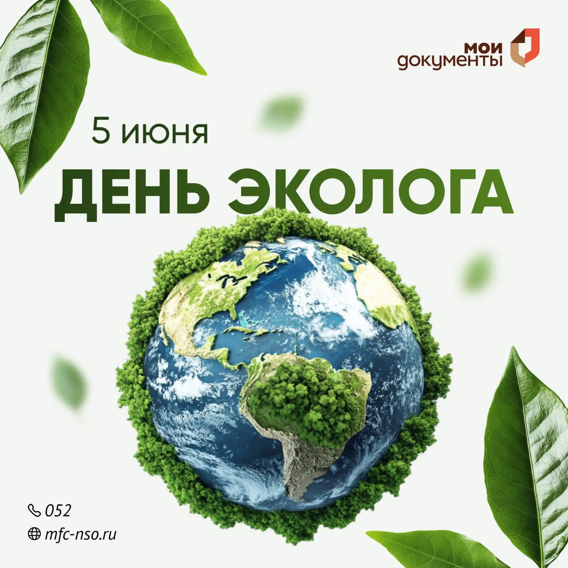 С Днем эколога!