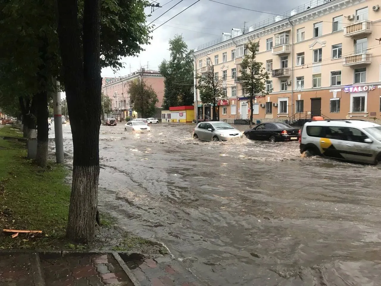 🌦 На неделе в Прикамье — тепло, но дождливо