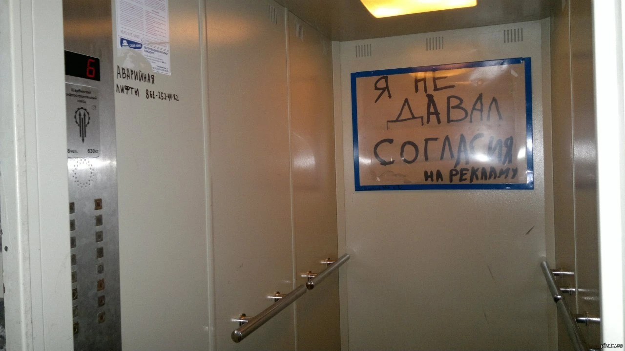 Где бензин, Билли? В Выборгском суде ответили на извечный вопрос через пять суток ареста