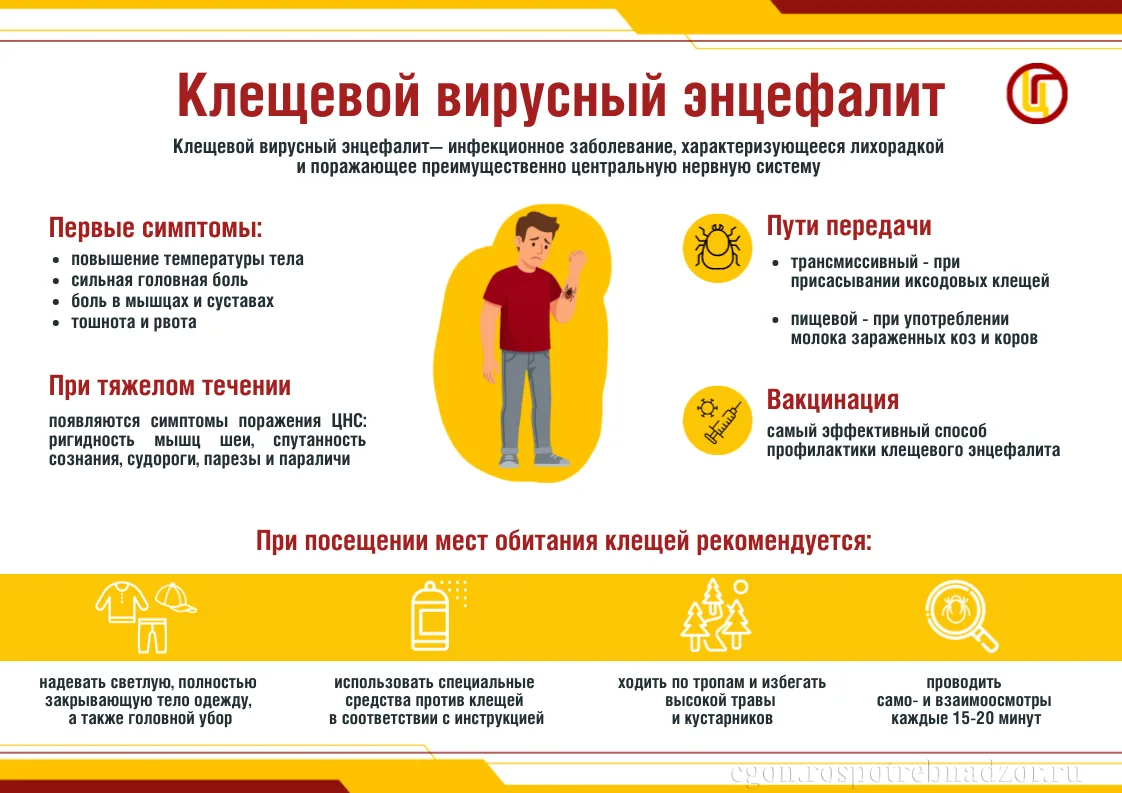 ОСТАВАЙТЕСЬ ЗДОРОВЫМИ

📍В связи с наступлением сезона туристической активности граждан как на терри