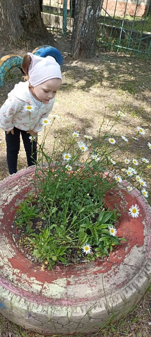 🌼 День полевых цветов.