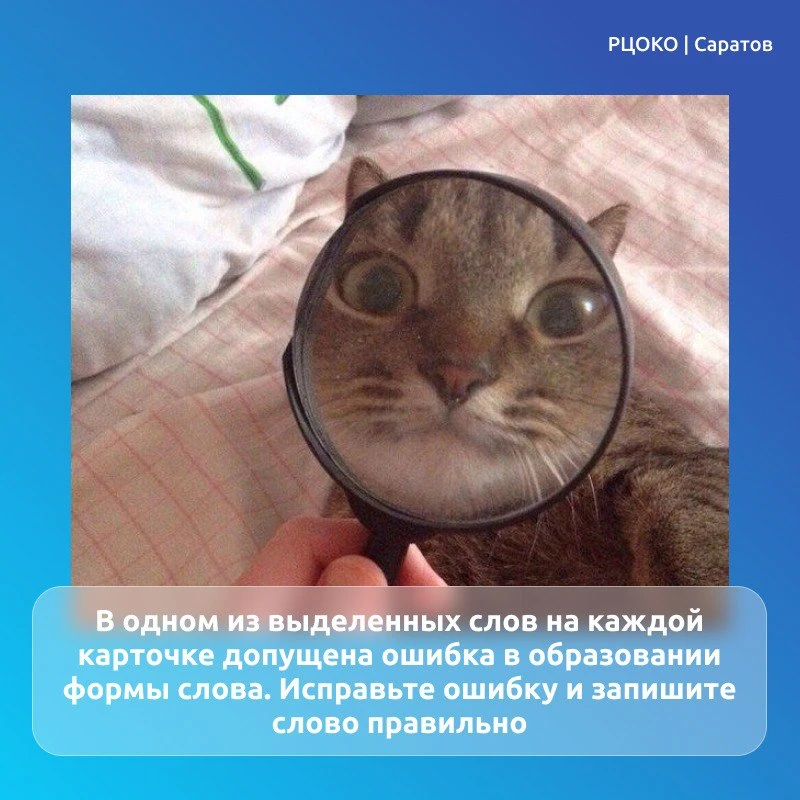 Друзья, даже на каникулах можно проверить свои знания и оставаться на высоте