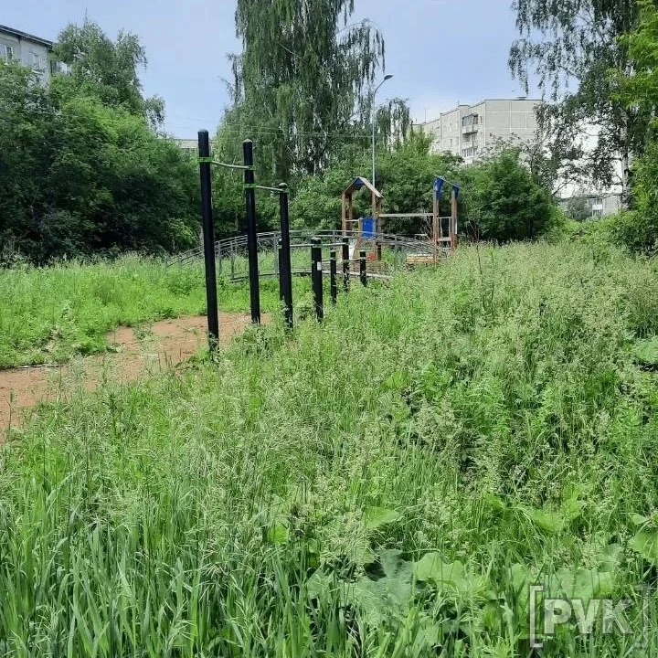 🙄«Скоро эта площадка совсем зарастёт травой... Ну и как здесь играть детям, прыгать, как кузнечики?