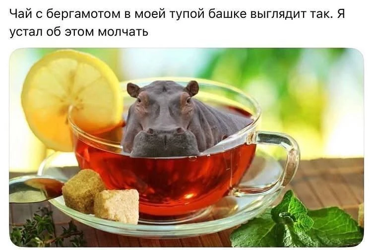 У кого так же? 😂