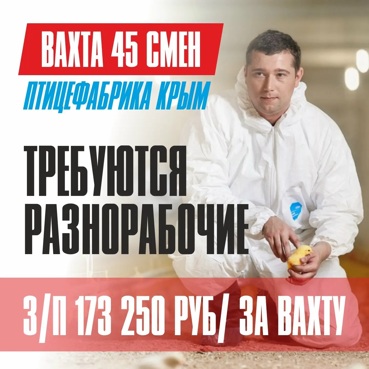 Требуются 📌РАЗНОРАБОЧИЕ 📌на птицефабрику