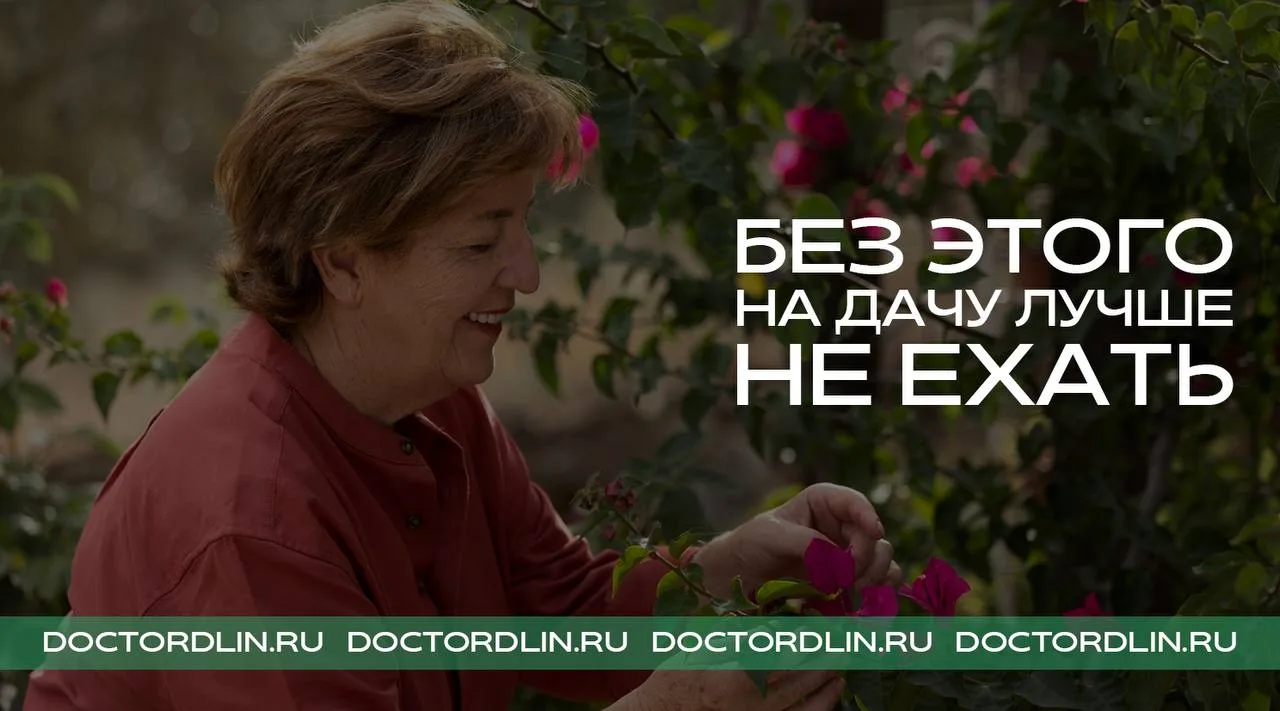 С возрастом люди на даче почему-то всё чаще делятся на два типа.