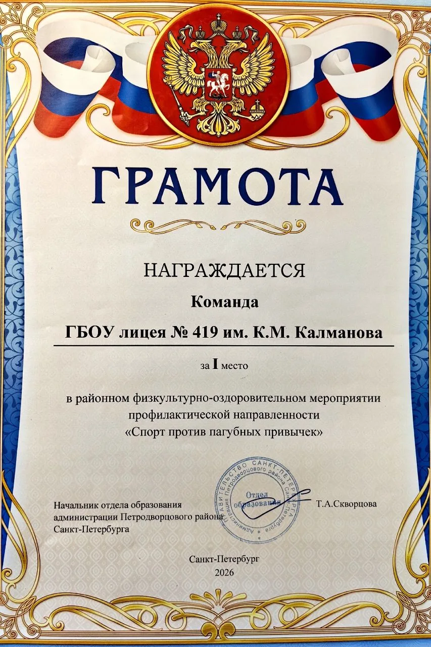 #НашиПобедыЛицей419СПб