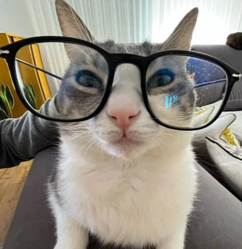 Учёные нашли неожиданный плюс плохого зрения. 😊