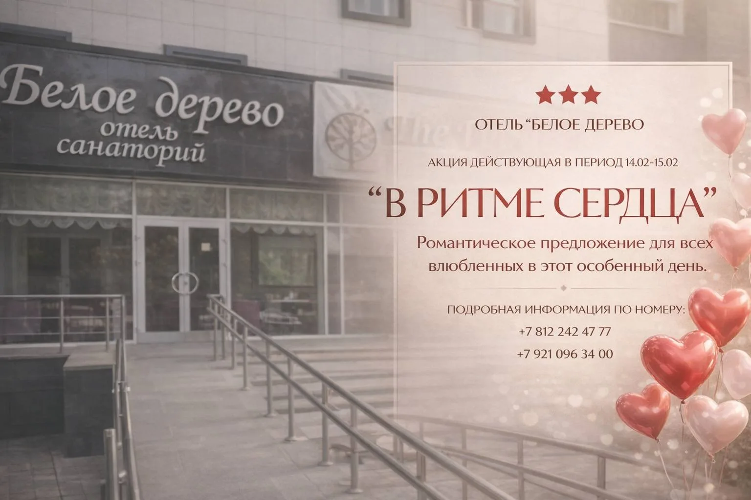 14 февраля — день, когда сердце говорит громче слов!❤️