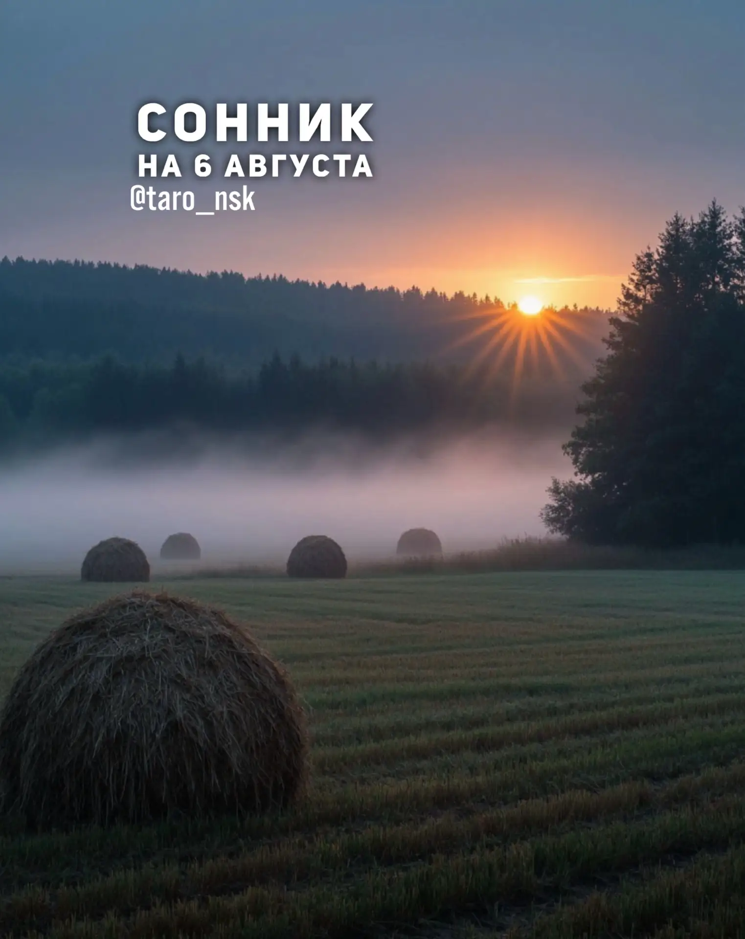 🌜Сонник на  6️⃣августа🌛
⠀⠀
В сегодняшнюю ночь могут сниться сны , которые будут касаться ваших нед