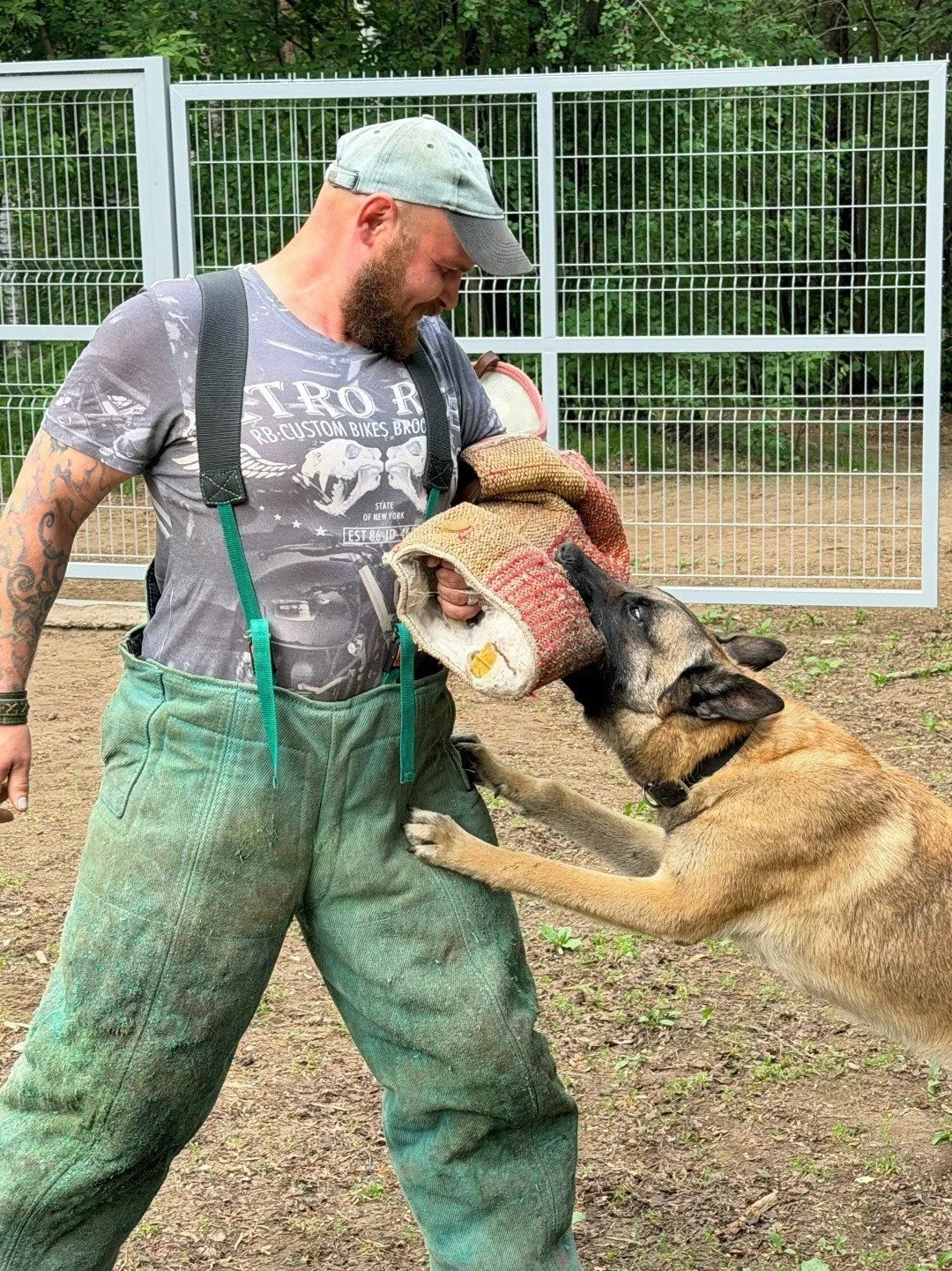 ⚡дрессировка собак ⚡️breedsinfo ⚡️dogmem