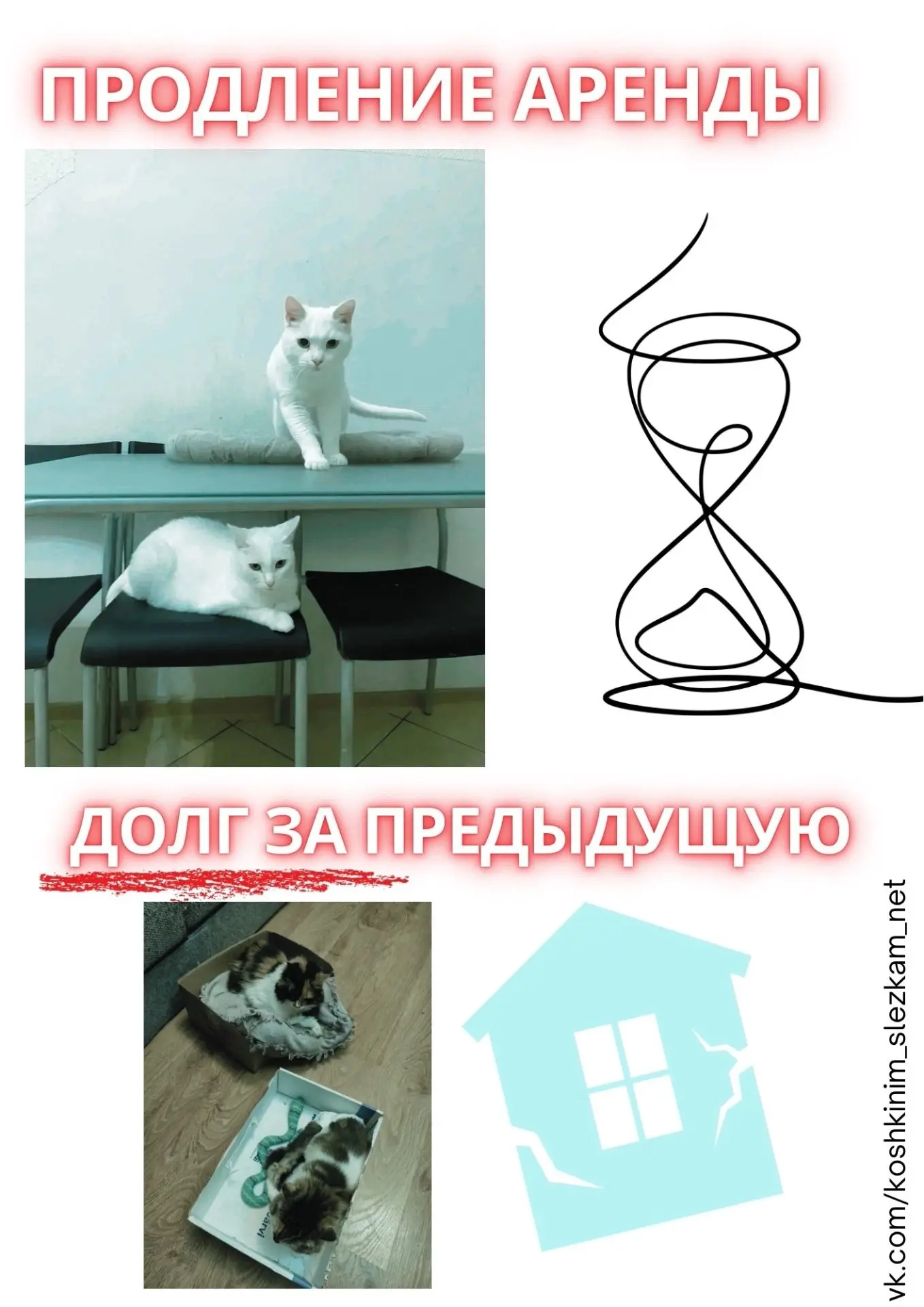 Друзья, вчера приют продлил аренду, на которую так и не было собрано…