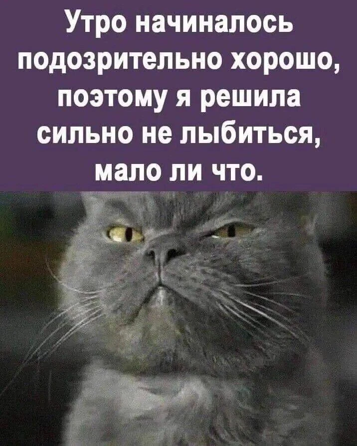 Доброе понедельничное утро! 😂☀