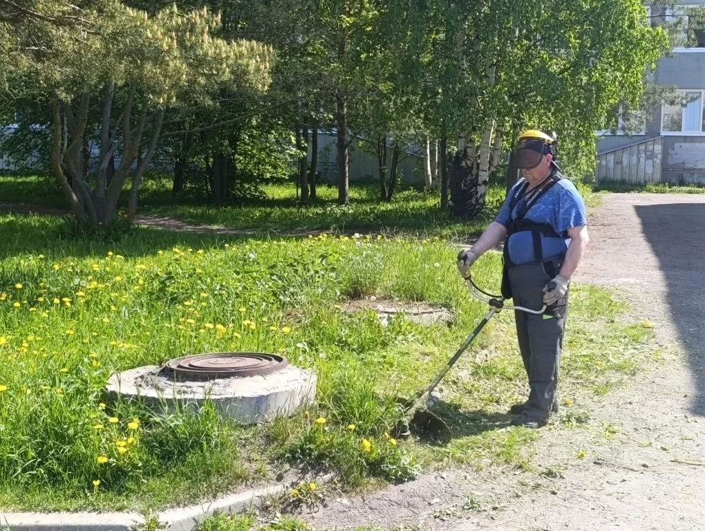 🌱🌱🌱БОЛЬШЕ 2 ГЕКТАРОВ ПРИШКОЛЬНОЙ ТЕРРИТОРИИ ПРИВЕДЕНЫ В ПОРЯДОК  💚 Работники школы приступили к поко