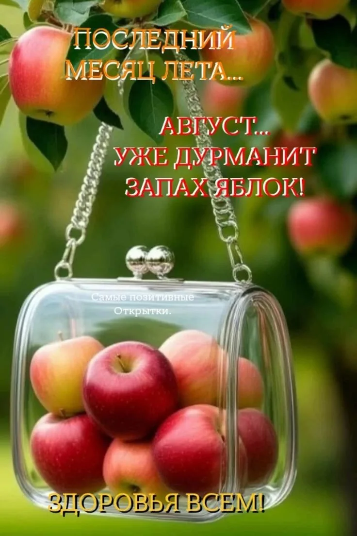 🥰 Оставляйте реакции, если понравилась открытка и делитесь с близкими ❤