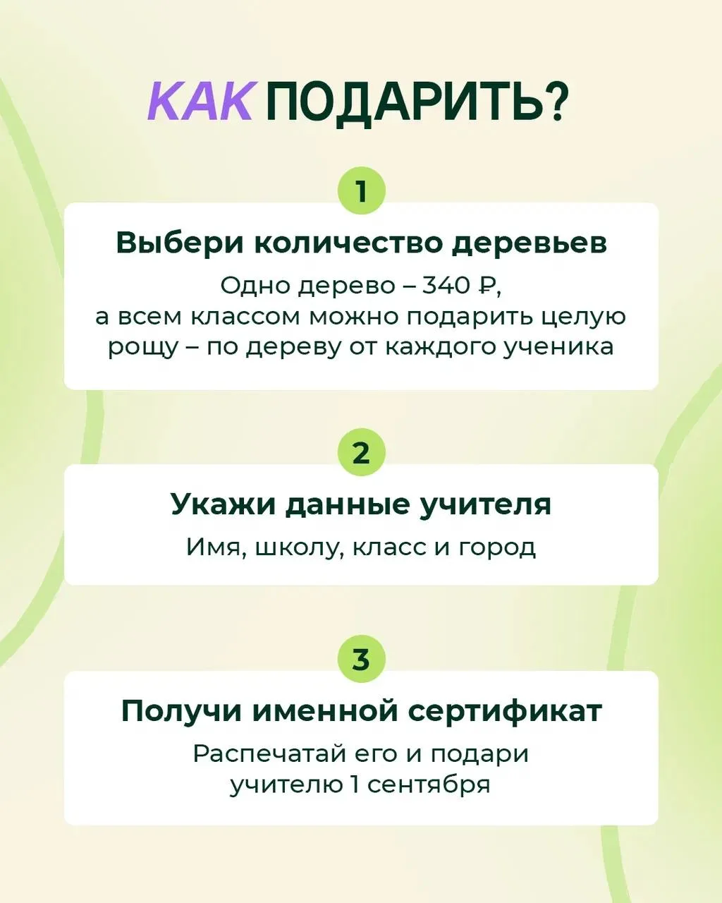 ВМЕСТО ЦВЕТОВ — ЦЕЛЫЙ ЛЕС 🏞