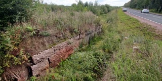 Парголово: ж.д. для городских покойников