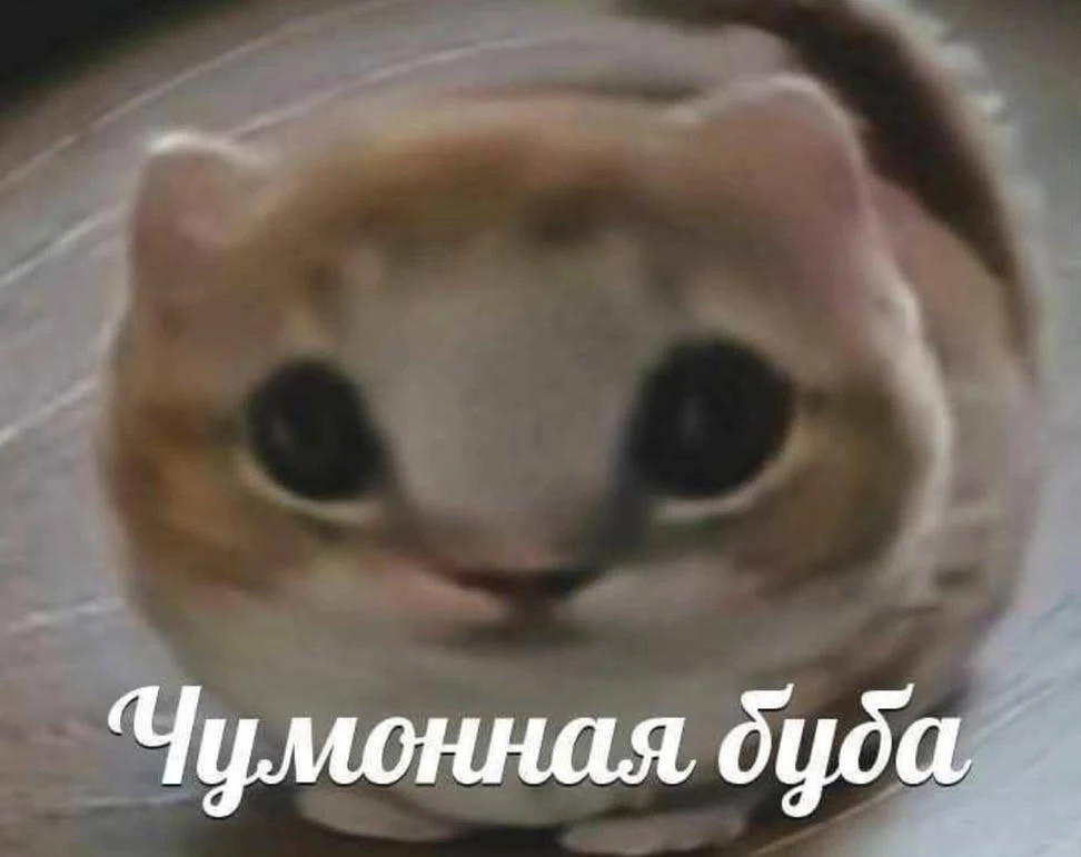 Я: только начинаю приспосабливаться к постоянным изменениям в мире