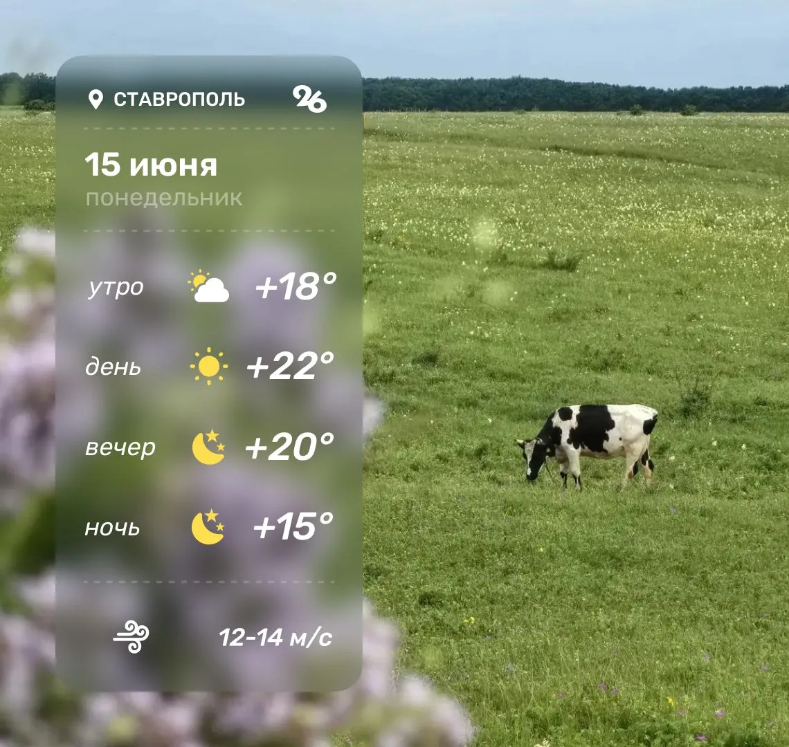 Погода в Ставрополе 15 июня

Отбой опасности БПЛА!

Берегите себя, ставропольцы!

Мы на КМВ | Мы на 