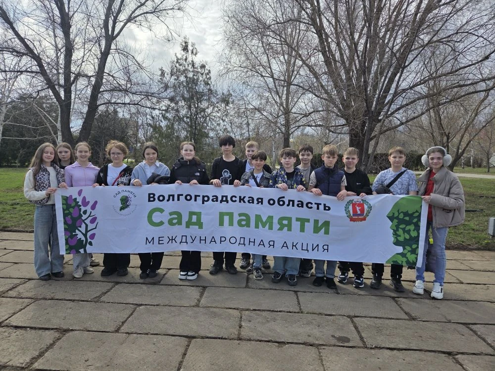 Сегодня  в нашем городе в Парке Победы высадили уникальный саженец — «Тополь Победы», выращенный вол