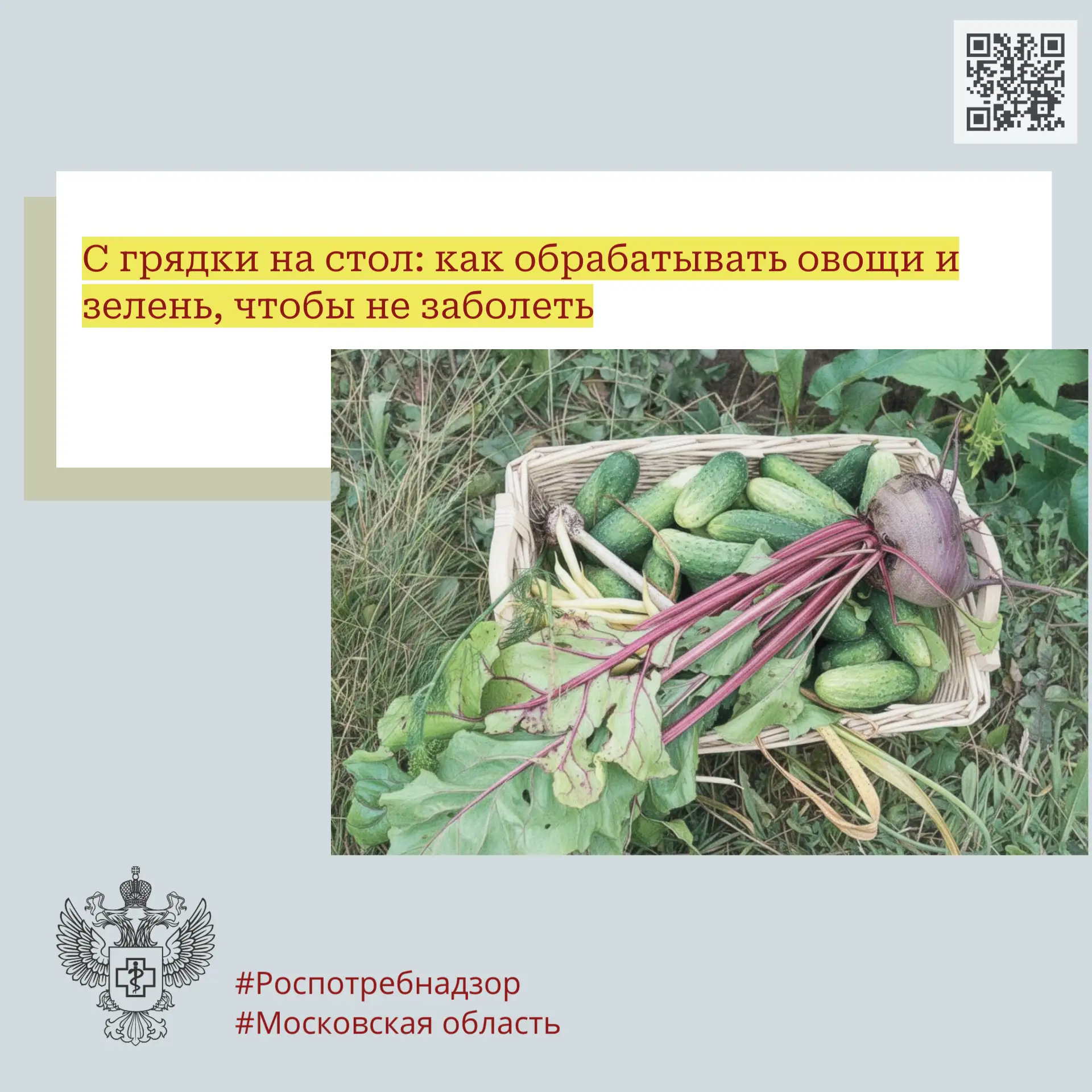 С грядки на стол: как обрабатывать овощи и зелень, чтобы не заболеть
 
Острые кишечные инфекции (ОКИ