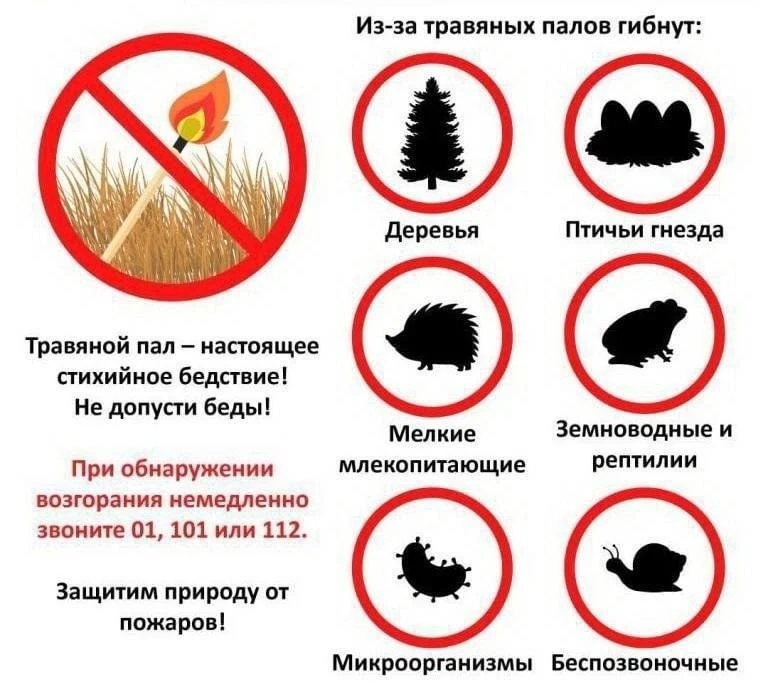 Если вы обнаружили возгорание:
☎️ Немедленно сообщите в экстренные службы:
 📞 112 — единый номер вы