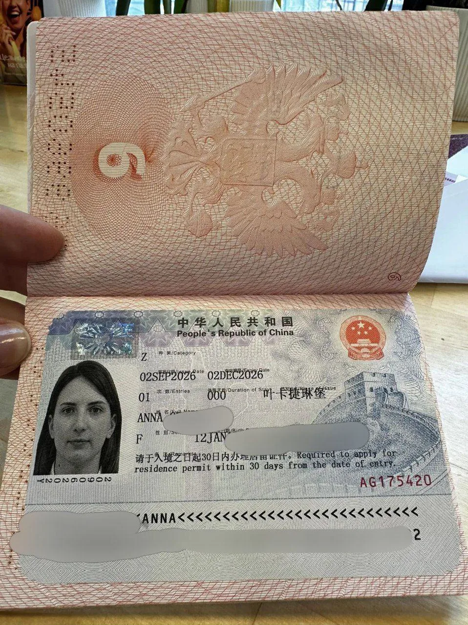 Work & Travel в Китае: как мы оформили рабочие визы на всю семью
